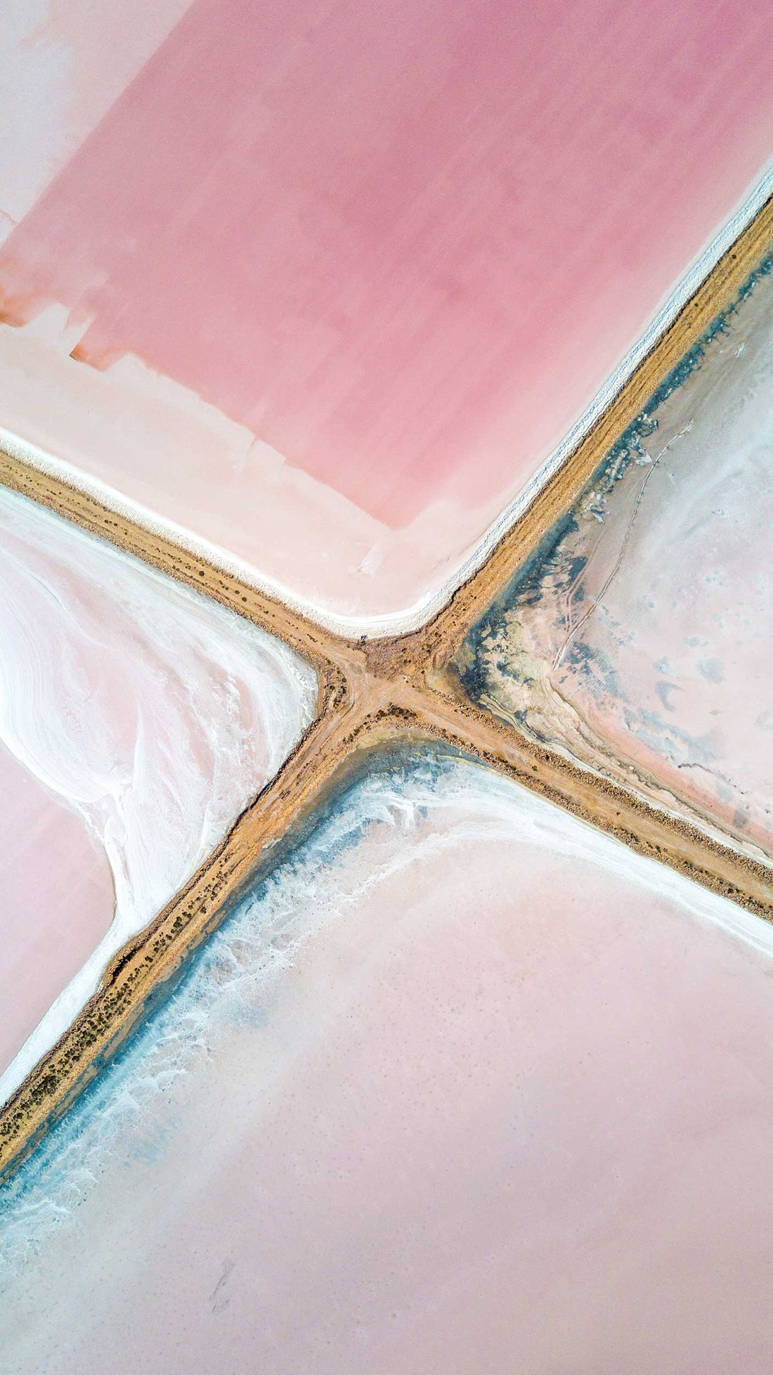 Salt Lake Series — Petra Leary