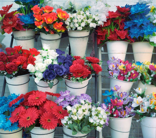 Tim D — Photographer